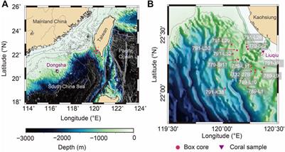 Sedimentary Anthropogenic Carbon Signals From the Western Pacific Margin for the Last Century